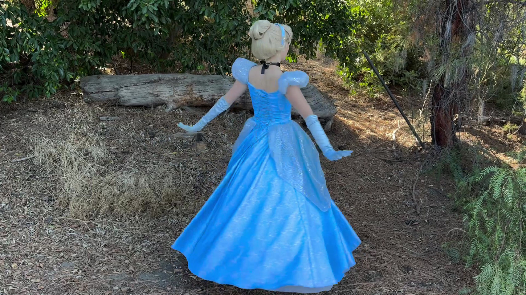 Cinderella